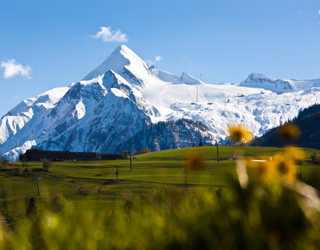 Gletscherfrühling | © Kitzsteinhorn 
