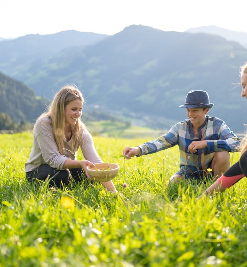 Kräuter Tour Kitzsteinhorn | © Kitzsteinhorn | Naturesa | Christoph Oberschneider
