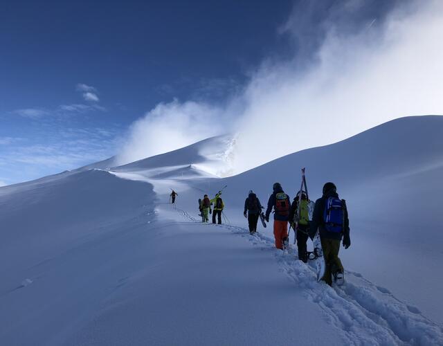 Group of mountaineers with skis in the snow under blue sky | © ÖAV / Lisa Hampfer