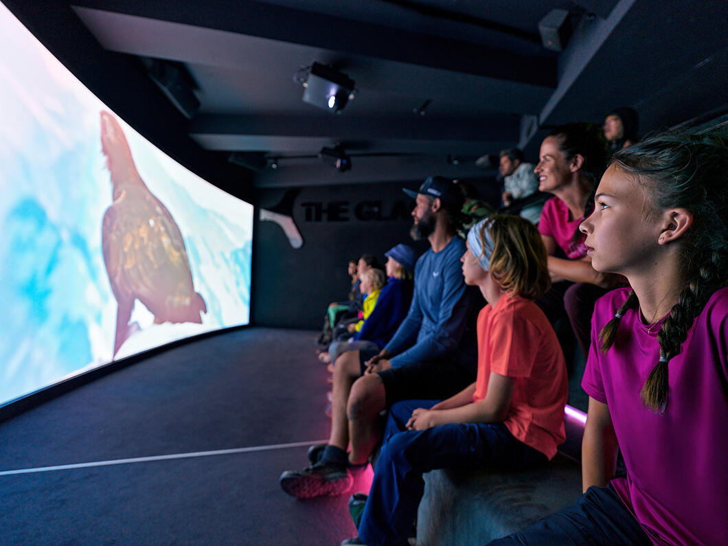 Menschen schauen auf eine große Leinwand mit einem Vogel in einem dunklen Raum