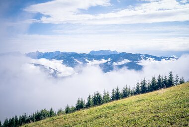 Ausblick vom Trail | © Edith Danzer