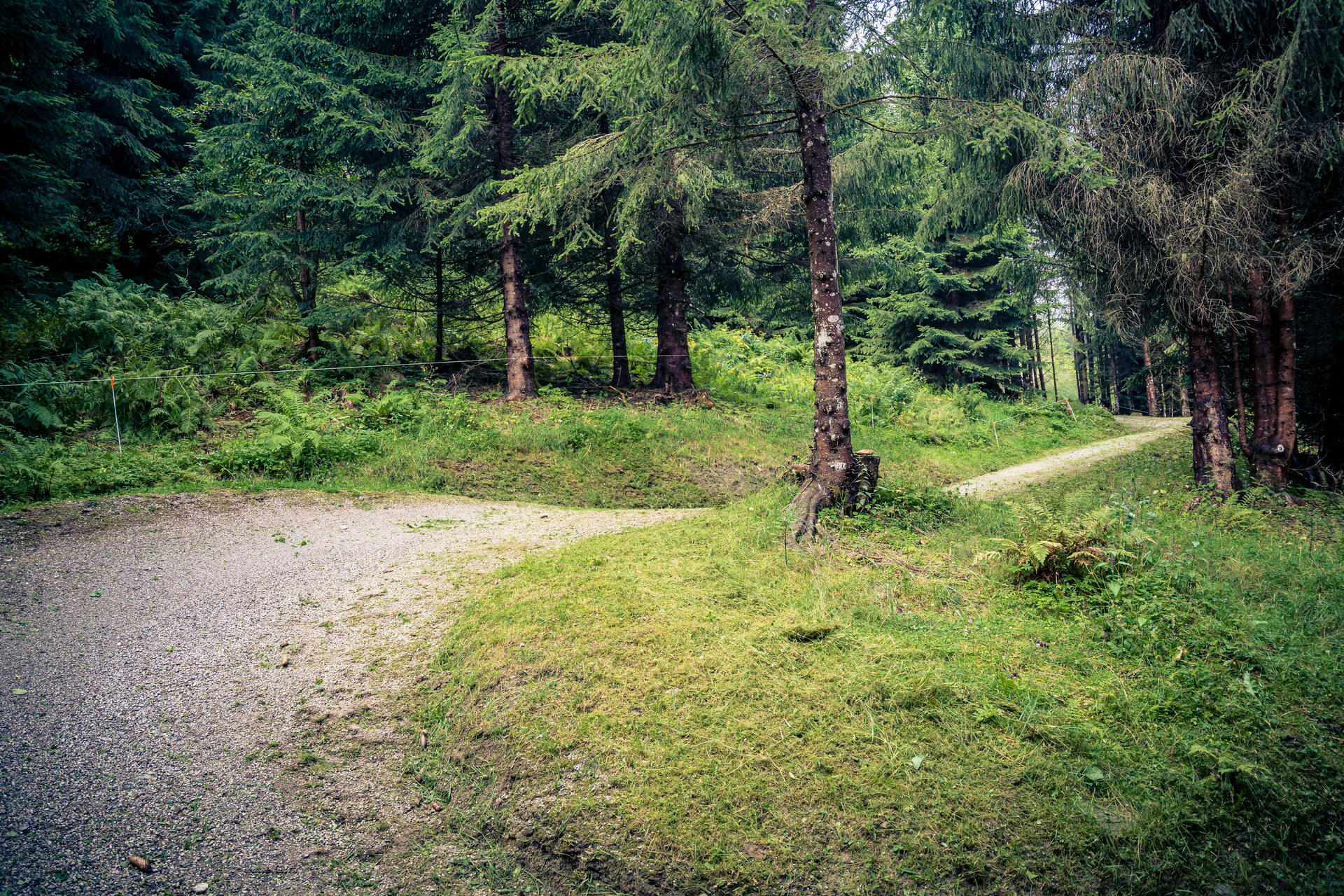 Naturnahe Trailbauweise | © Edith Danzer Naturnahe Trailbauweise | © Edith Danzer