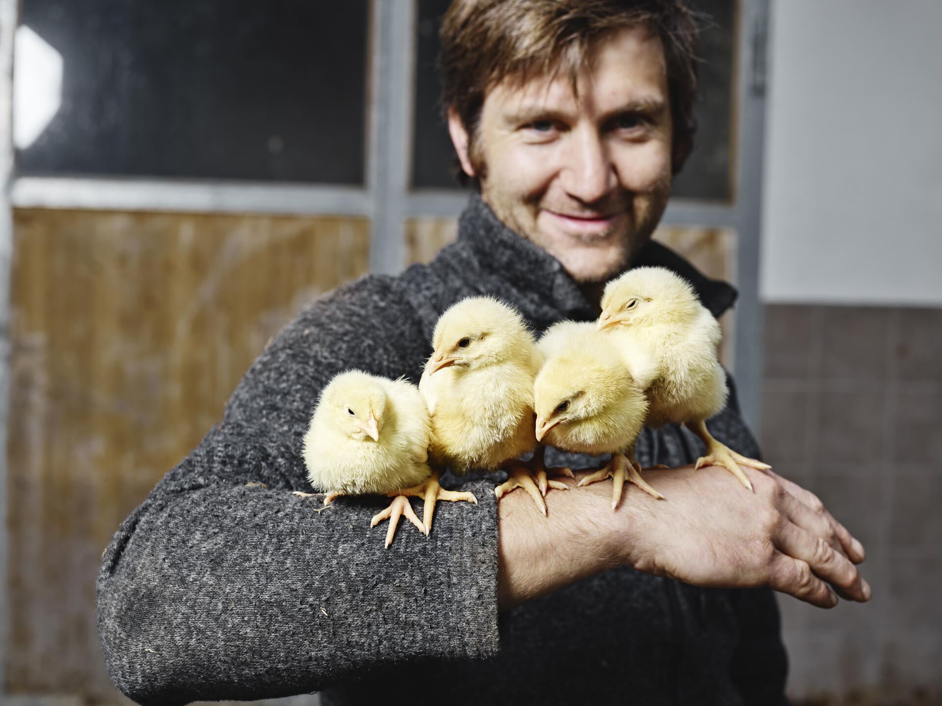 Günter Berger mit seinen Pipperln | © © Michael Hochfellner_Mittersill Plus Günter Berger mit seinen Pipperln | © © Michael Hochfellner_Mittersill Plus