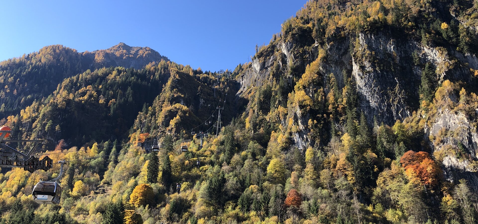 Wald in Multicolor | © Norbert Karlsböck